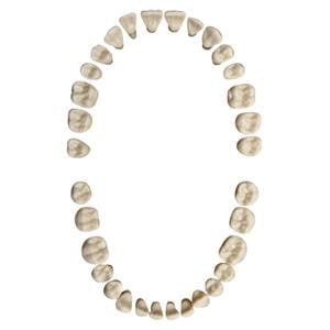 Oefenelementen - set boven en onder - AG-3 Z, set met 32 elementen