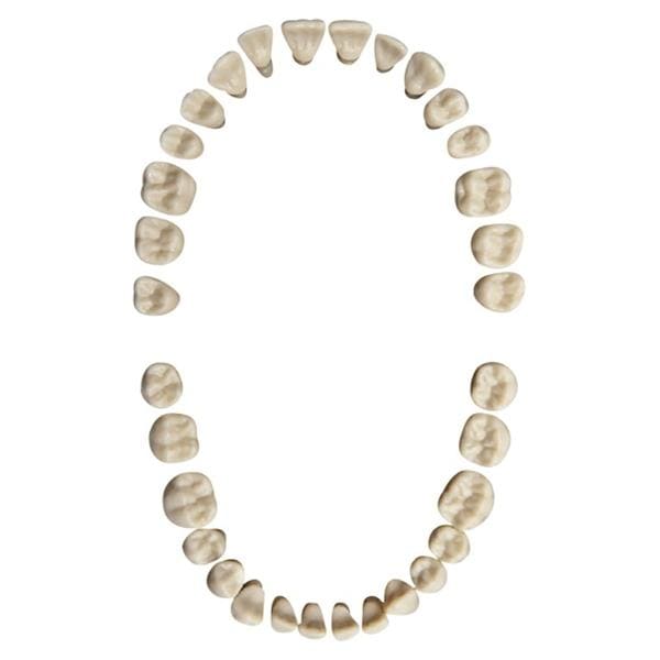 Oefenelementen - set boven en onder - AG-3 Z, set met 32 elementen