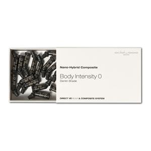 Nano Hybrid Composite - A0