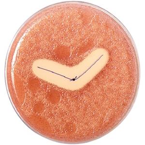 Vicryl Plus - Lengte 70cm, 36 stuks 5/0, naald RB-1 - VCP303H