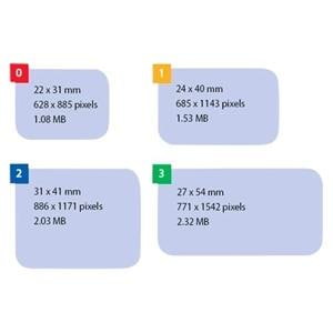 Fosforplaatjes Scan eXam - STD - Size 0, 22 x 31 mm, 6 stuks (0.805.0215 / 900479)