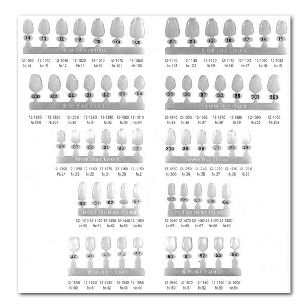 Polycarbonate Crowns lateraal incisief - Rechtsboven, 2