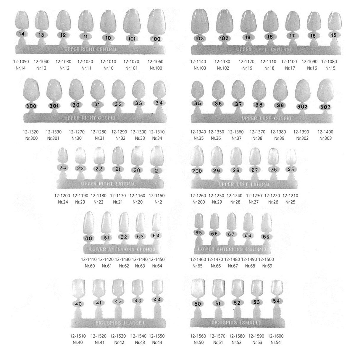 Polycarbonate Crowns incisief kort - Onder, 68