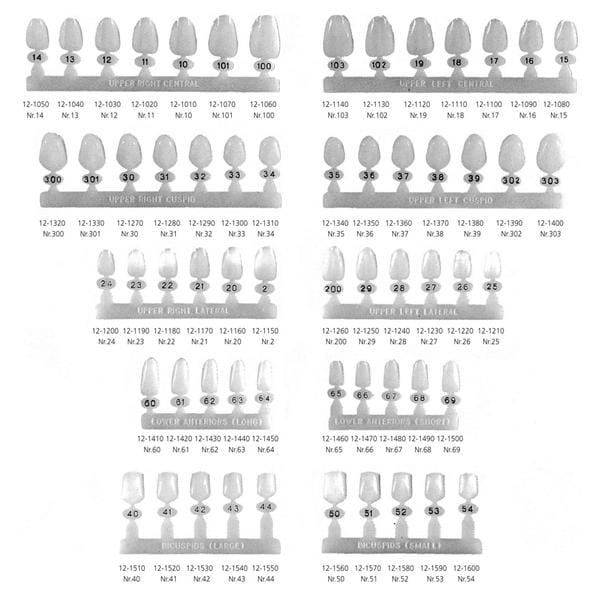 Polycarbonate Crowns incisief kort - Onder, 65