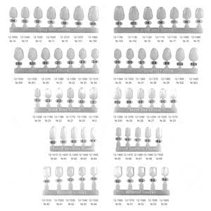 Polycarbonate Crowns premolaar - Rechtsboven en rechtsonder, 40