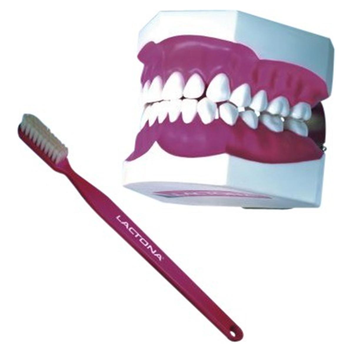 Demonstratie tandenborstel M39 - 81502