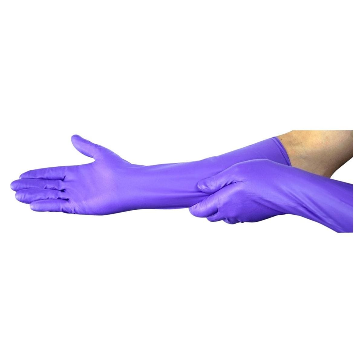 Purple nitrile MAX - S, 50 stuks