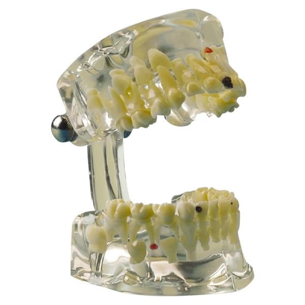 Demonstratiemodel transparant luxe - 355642
