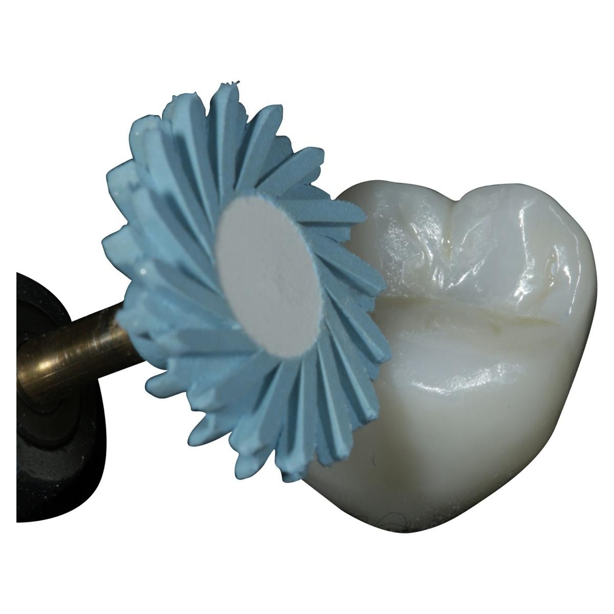 A.S.A.P. Indirect+ IntraOral RA - Starterkit