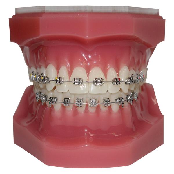 Micro Twin Roth - 018 Roth 5x5 U & L Hooks