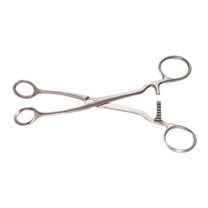 Paktang Collin - Maxima 17cm