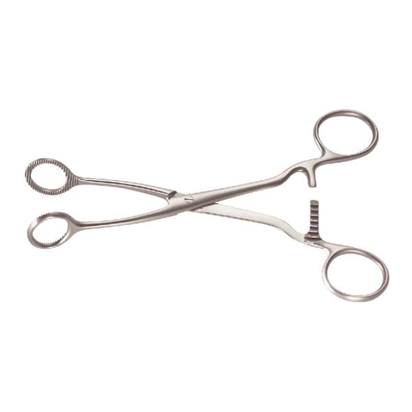 Paktang Collin - Maxima 17cm