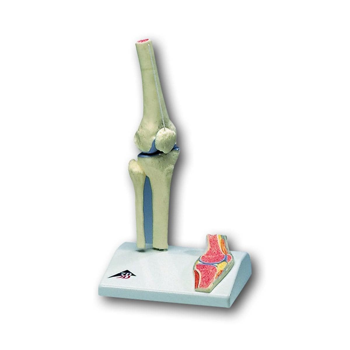 Knie A85/1 - per stuk