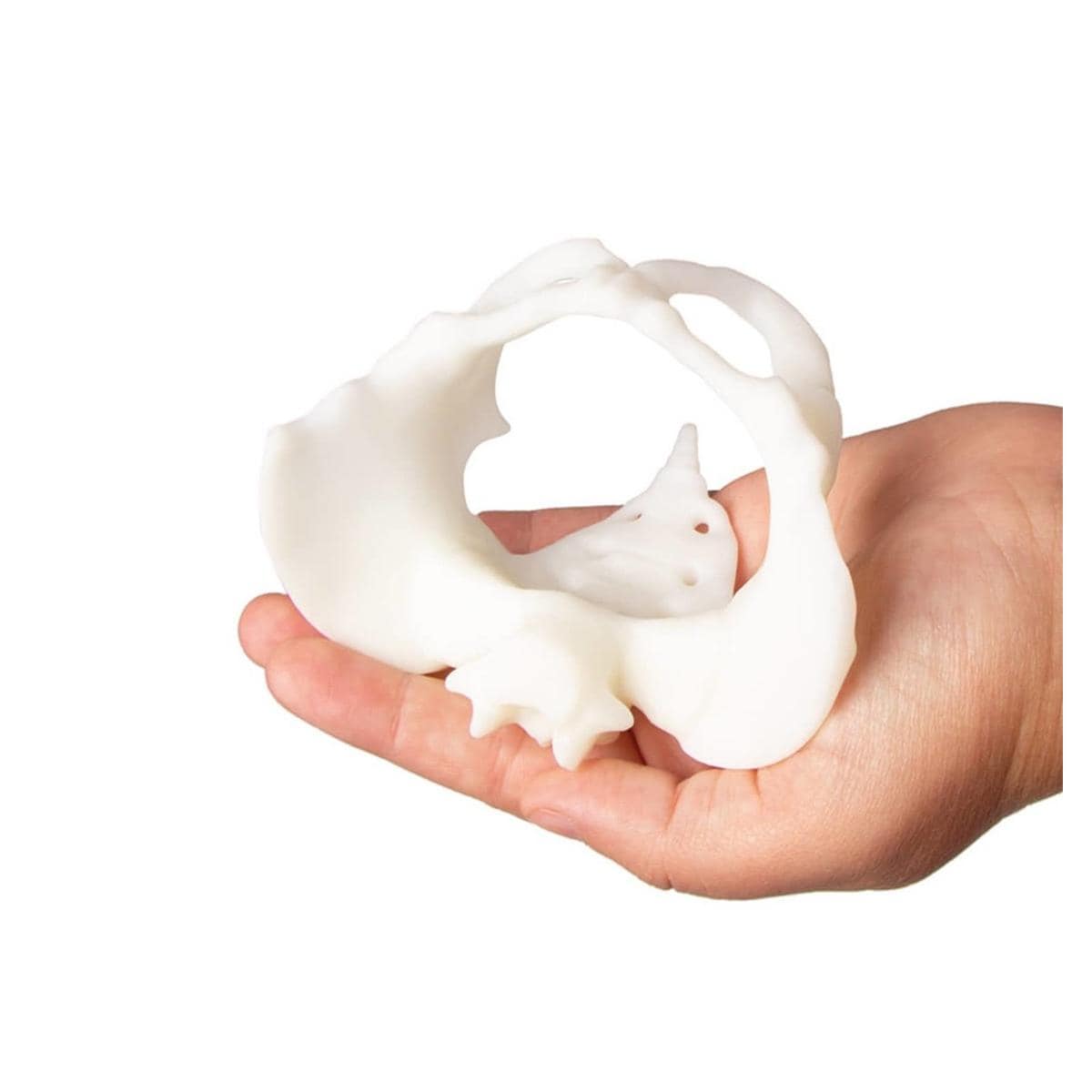 Miniatuur bekken + foetus - per set
