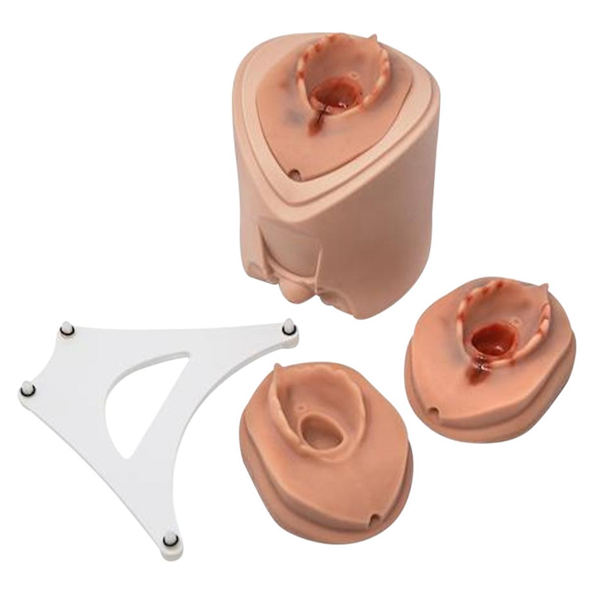 Episiotomie hechttrainer P96 voor P90 simulator - Epi hecht trainer P96 voor P90 simulator