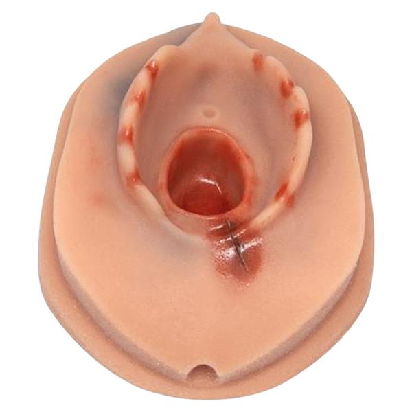 Inzet vulva voor Epi trainer P96 - Inzet vulva voor Epi trainer P96 bij afname vanaf 2 stuks