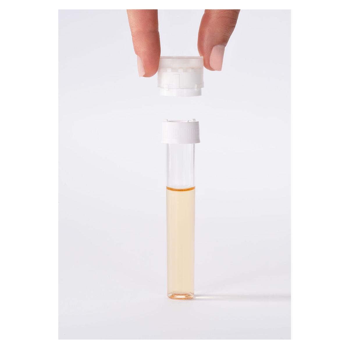 UTS tube/dop - per 50 stuks