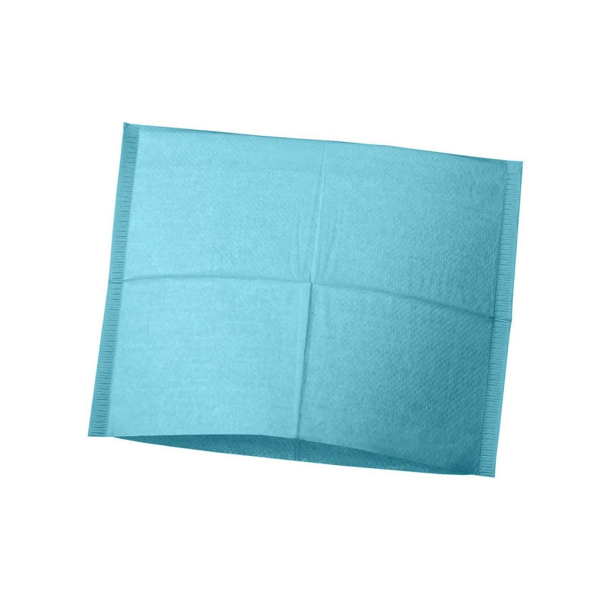 Hoofdsteunzakken gevouwen 25 x 33 cm - Blauw, 500 st