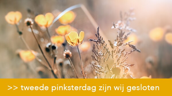 me0525_007_nl-nl_z32_xl_teaser