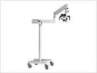 Endozoom